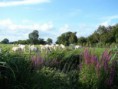 /album/galerie-de-photos-nature-et-patrimoine/a548119-116791595135284-1869910446-n-jpg/