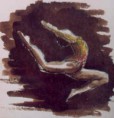 /album/galerie-de-photos-art/encre3-jpg/
